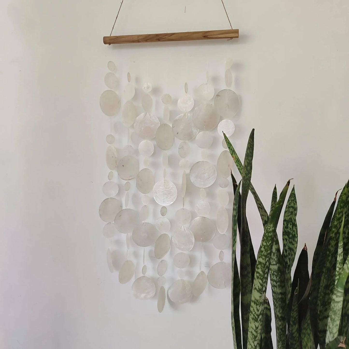 Decorative wall hanging with circular capiz shell patterns on a plain wall with a plant in the foreground.