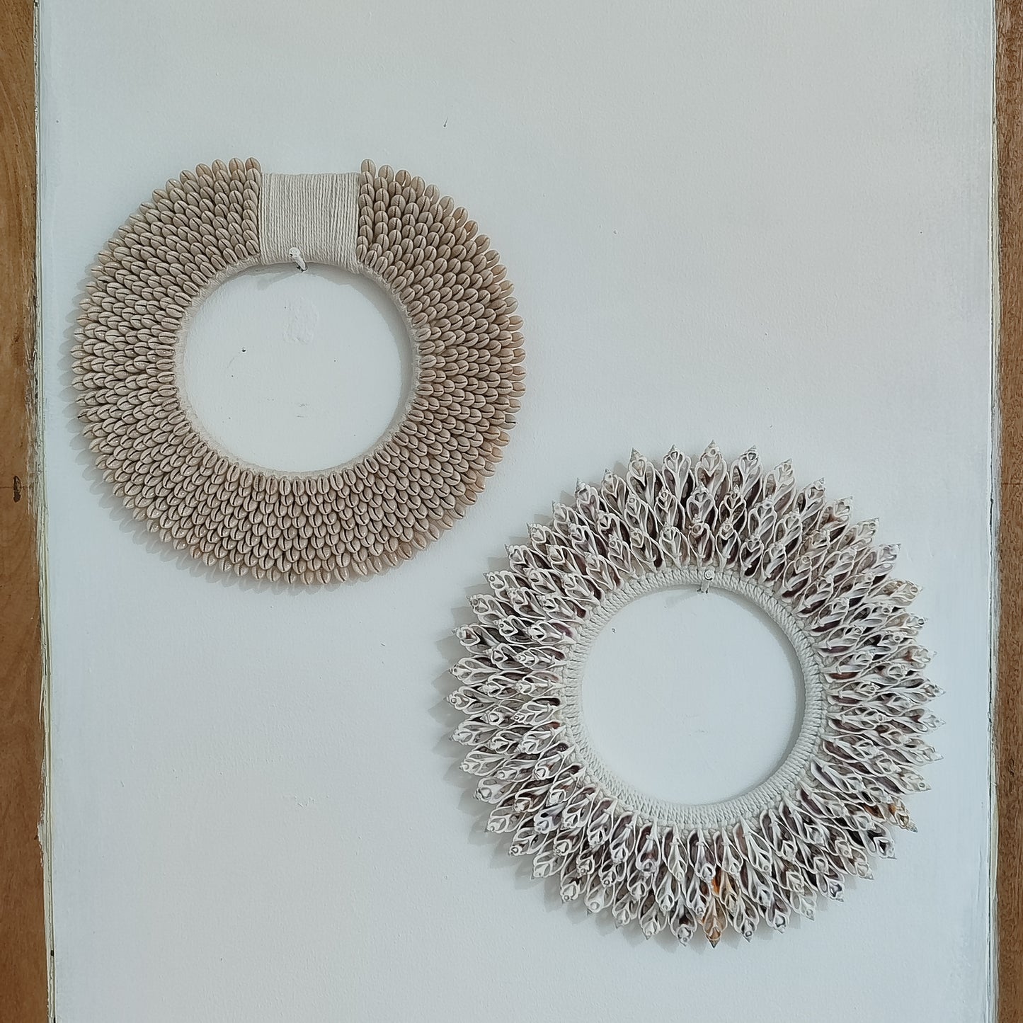 Set of 2 Sea Shell wall Decor, Papua Necklace: Coastal Bohemian Wall Art
