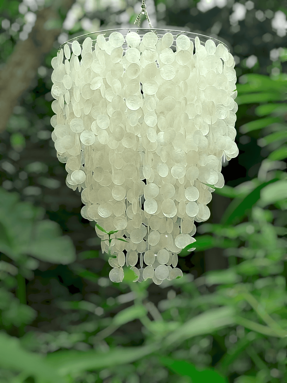 White capiz shell chandelier hanging against a green leafy background