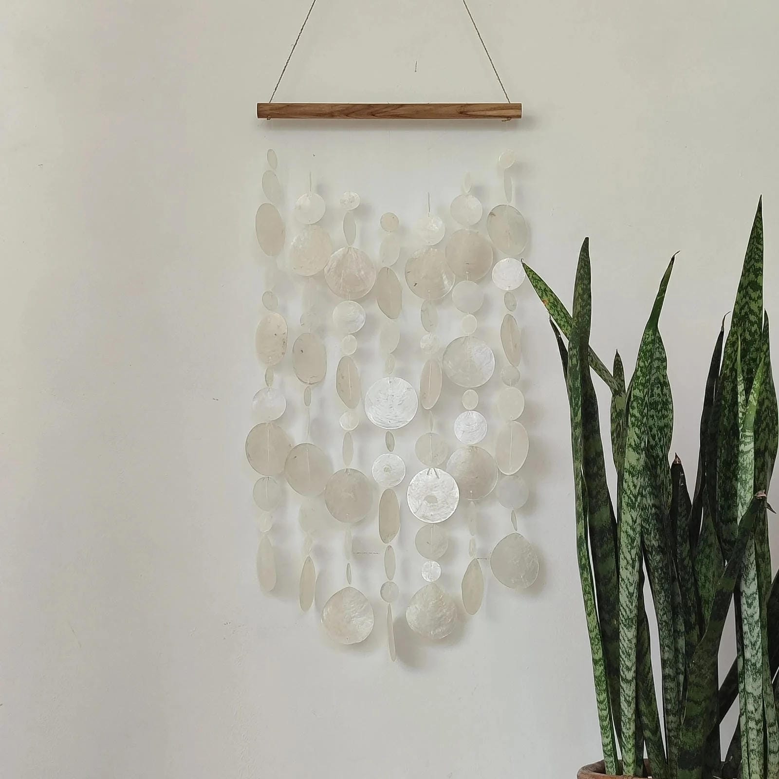 Decorative wall hanging with circular shell patterns on a plain wall next to a potted plant.