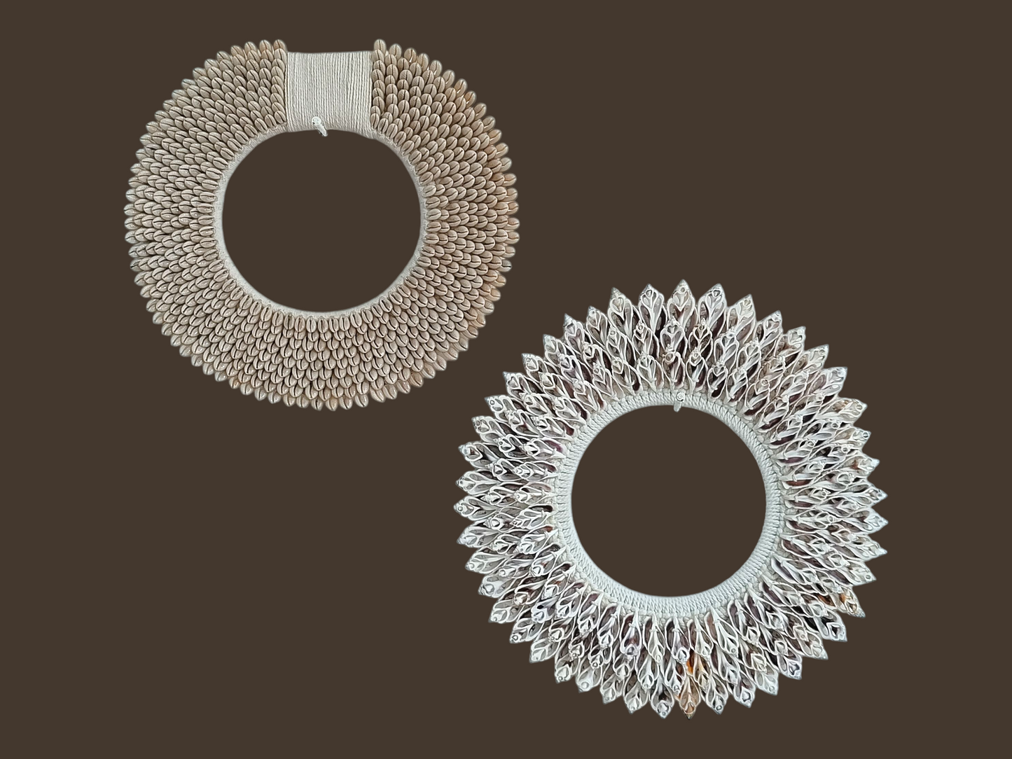 Set of 2 Sea Shell wall Decor, Papua Necklace: Coastal Bohemian Wall Art