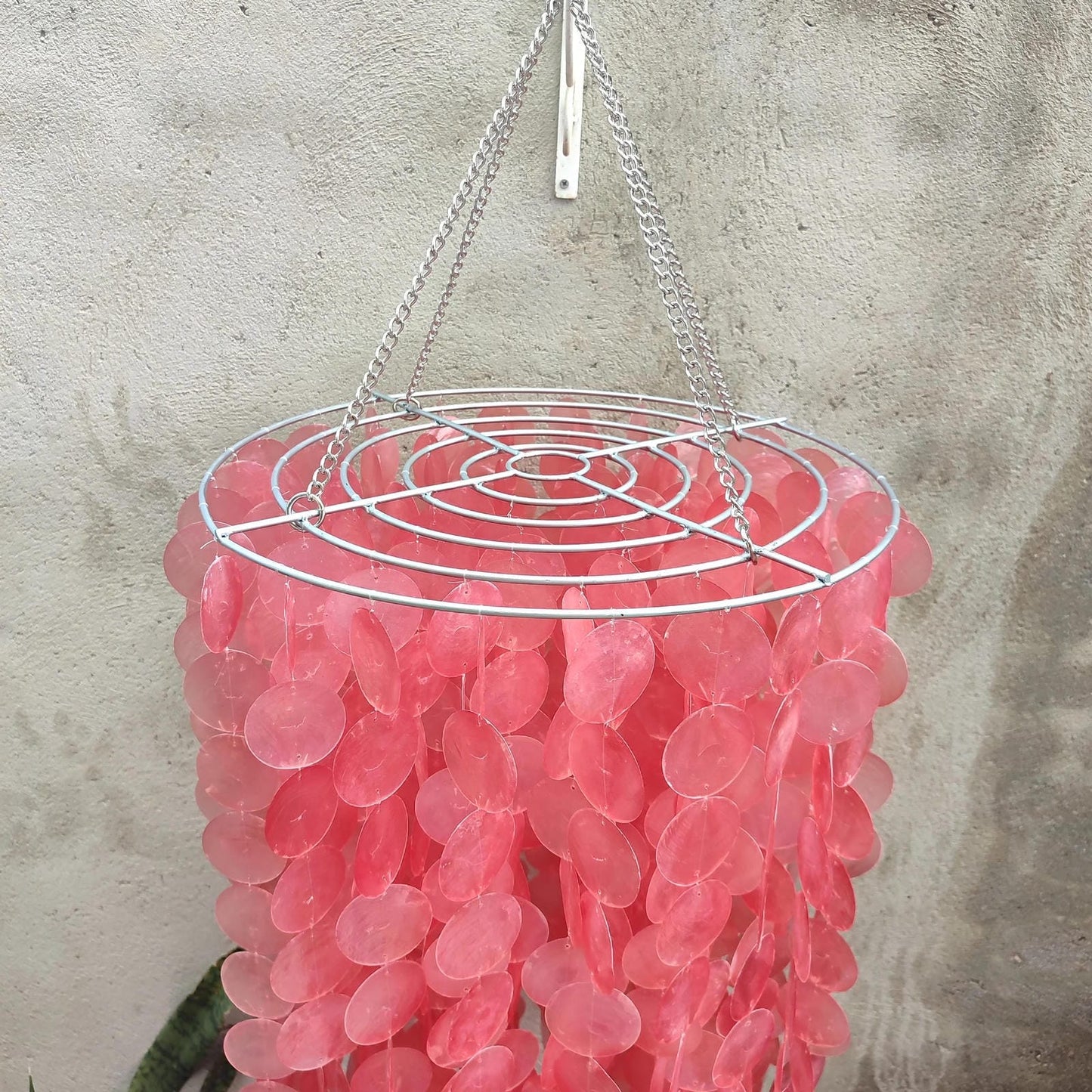 Pink hanging capiz shell chandelier with a metal chain against a beige wall