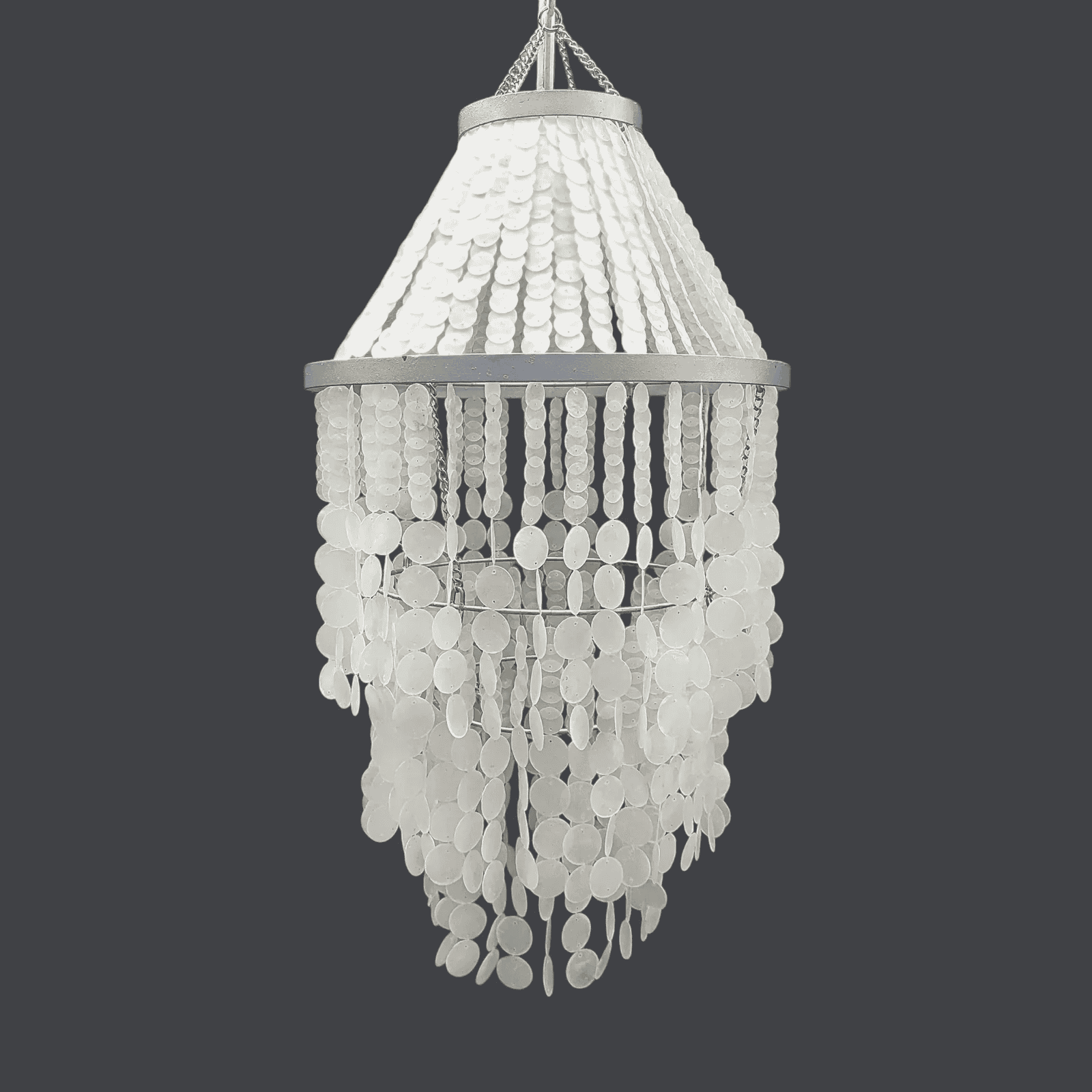 Decorative chandelier with shell-like design on a dark background