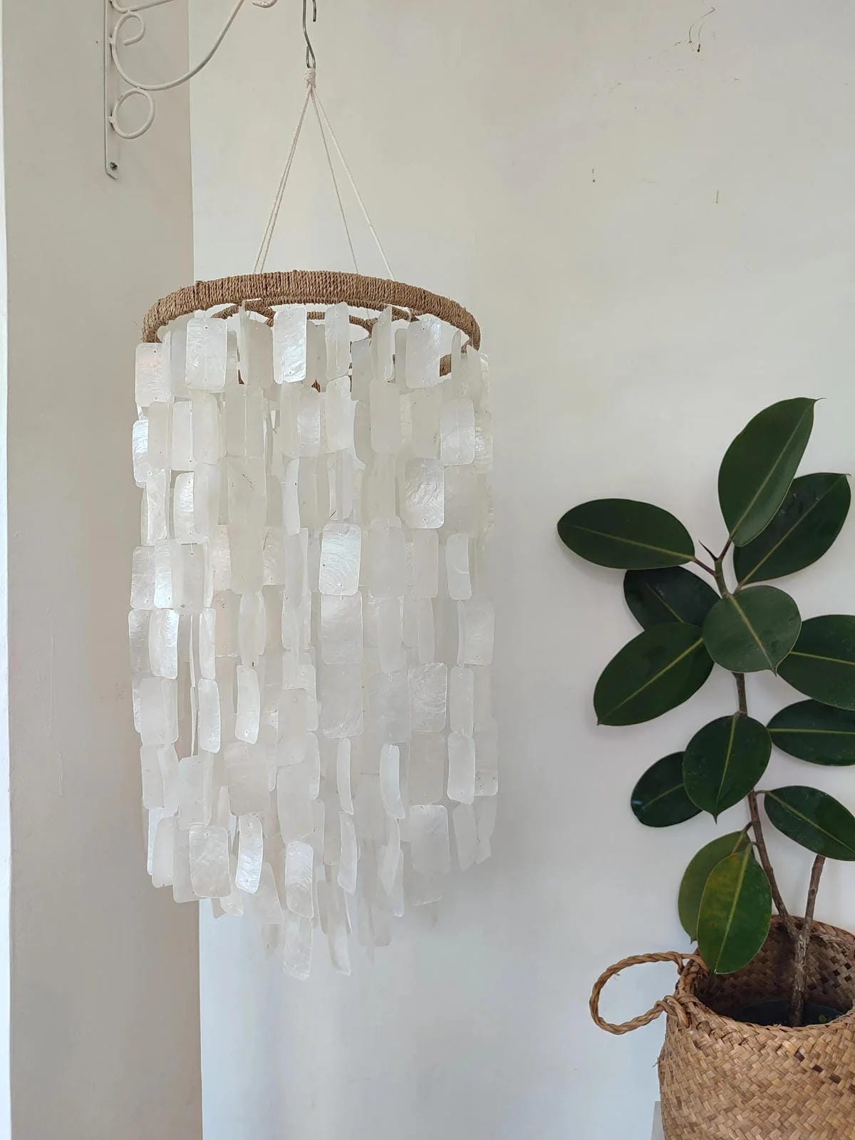Chandelier made of white shell pieces hanging on a white wall with a plant in the corner.