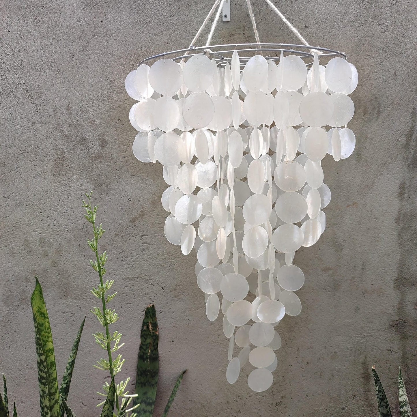 White shell wind chime hanging against a textured wall with plants in the foreground.
